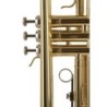 TROMPETA J. MICHAEL DE ESTUDIO LACADA TR200