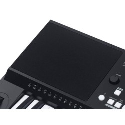 TECLADO MEDELI 61 TECLAS MK300 | MÚSICA BILBAO