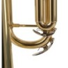 TROMPETA J. MICHAEL DE ESTUDIO LACADA TR200