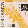 string set mandolin, silverplated wound, light 010 | MÚSICA BILBAO