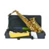 SAXO ALTO AMADEUS EN Mib