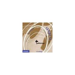 12-string set acoustic phosphor bronze wound, ligh | MÚSICA BILBAO