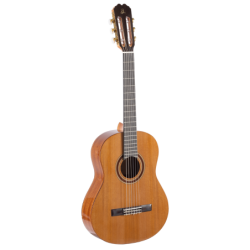 UKELELE CONCIERTO CUTAWAY TANGLEWOOD ELECTRIFICADO TWT16E