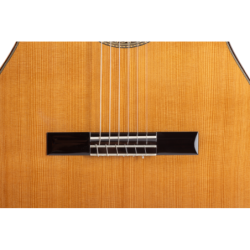 GUITARRA ACÚSTICA TANGLEWOOD TW10LH DREADNOUGHT CUTAWAY ZURDA