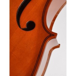 Chelo 3/4 Leonardo barniz nitro diapa. teñido | MÚSICA BILBAO