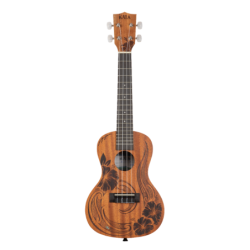 UKELELE CONCIERTO KALA UNITY | Música Bilbao