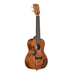 UKELELE CONCIERTO KALA UNITY | MÚSICA BILBAO