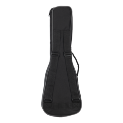 UKELELE CONCIERTO KALA UNITY | MÚSICA BILBAO