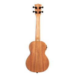 UKELELE KALA CONCIERTO ELECTRIFICADO JAMES HILL TODO MACIZO | MÚSICA BILBAO