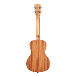 UKELELE CONCIERTO KALA GUIDANCE | MÚSICA BILBAO