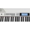 PIANO DE ESCENARIO MEDELI SP4200/BK