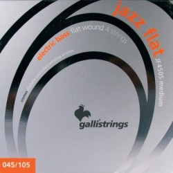 string set electric bass, polished stainless steel | MÚSICA BILBAO