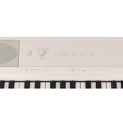 PIANO DE ESCENARIO MEDELI 88 TECLAS SP-C120/WH