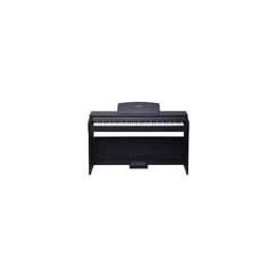 PIANO DIGITAL MEDELI 88 TECLAS UP82/BK