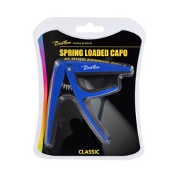 PACK DE 10 CEJILLAS BOSTON PARA CLÁSICA COLORES SURTIDOS