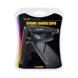 PACK DE 10 CEJILLAS BOSTON PARA CLÁSICA COLORES SURTIDOS