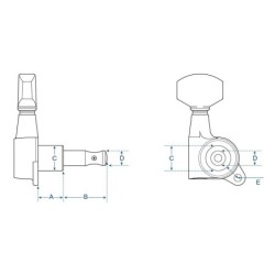 CORREAS ACORDEÓN BOSTON 48-72 4,5cm FORRO DE TERCIOPELO