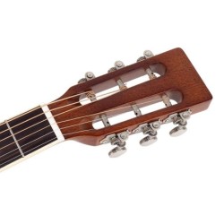 Guit. Parlor Richwood cedro macizo marrón | MÚSICA BILBAO