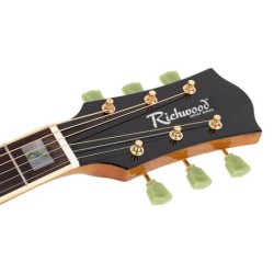 Guit. acú. Dread. Richwood tapa abeto macizo sunb | MÚSICA BILBAO