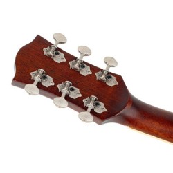 Guit. acú. Dread. Richwood tapa cedro maci. marrón | MÚSICA BILBAO