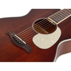 Guit. acú. Auditorium Richwood cedro macizo marrón | MÚSICA BILBAO