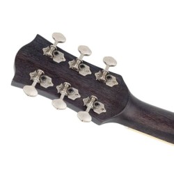 Guit. acú. Auditorium Richwood cedro macizo negro | MÚSICA BILBAO