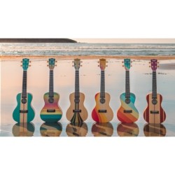 UKELELE KALA CONCIERTO SERIE SURF WIPE OUT | MÚSICA BILBAO