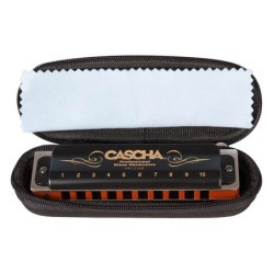 professional blues harmonica in G, incl. case and | MÚSICA BILBAO
