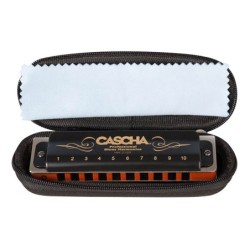 professional blues harmonica in D, incl. case and | MÚSICA BILBAO