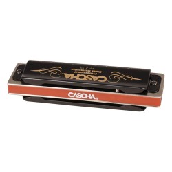 professional blues harmonica in D, incl. case and | MÚSICA BILBAO