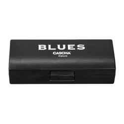ARMÓNICA BLUES CASCHA EN D | MÚSICA BILBAO
