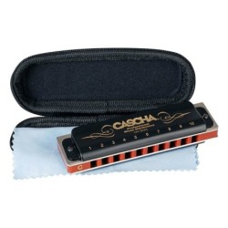 professional blues harmonica in C, incl. case and | MÚSICA BILBAO