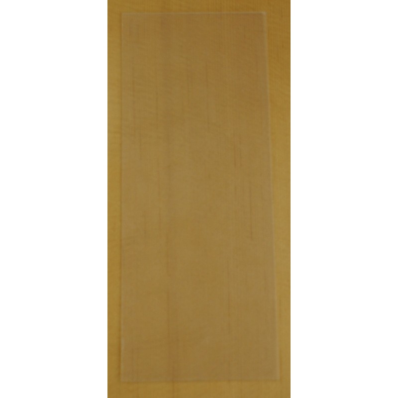 GOLPEADOR TRANSPARENTE ADHESIVO PEQUEÑO RECTANGULAR GTAP | MÚSICA BILBAO