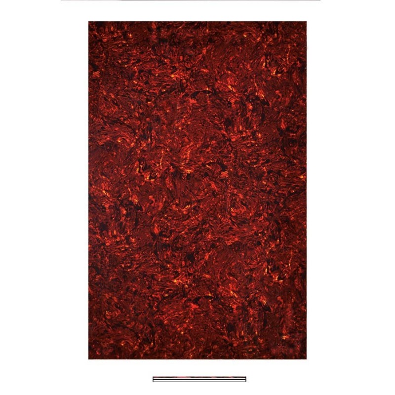 MATERIAL GOLPEADOR BOSTON 4C 45x29cm TORTUGA