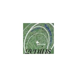 string set flamenco, black trebles and silverplate | MÚSICA BILBAO