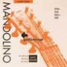 string set mandolin, phospor bronze wound, light, | MÚSICA BILBAO