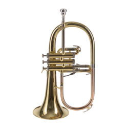 FLISCORNO AMADEUS PISTONES MONEL | MÚSICA BILBAO