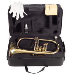 FLISCORNO AMADEUS PISTONES MONEL | MÚSICA BILBAO