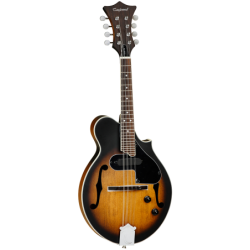 MANDOLINA TANGLEWOOD TWMFVSE | MÚSICA BILBAO