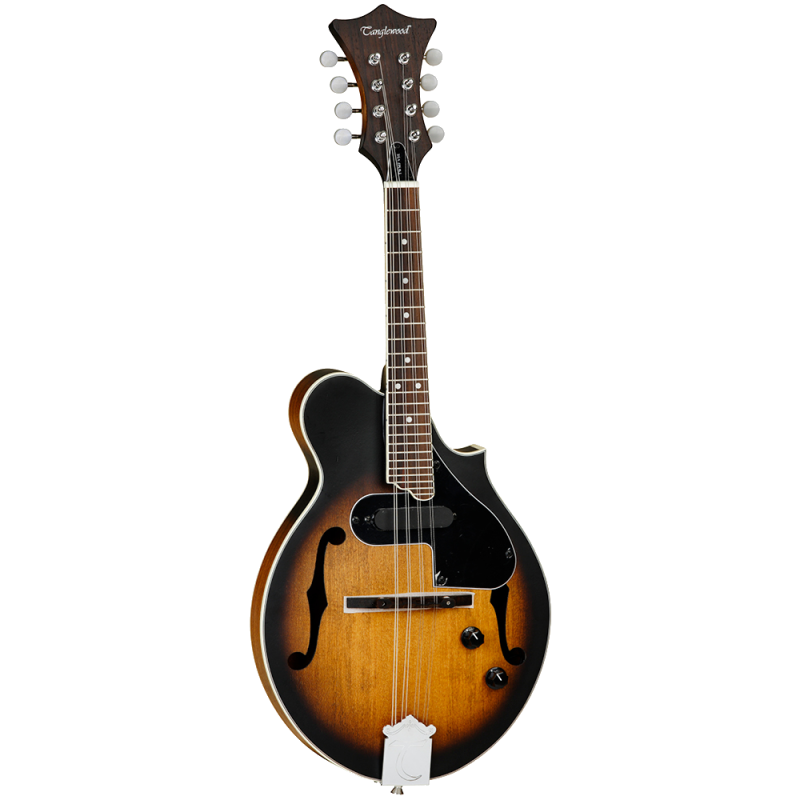 MANDOLINA TANGLEWOOD TWMFVSE | MÚSICA BILBAO