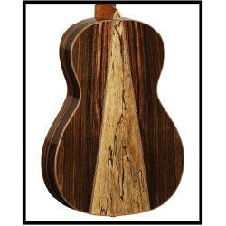 GUITARRA ACÚSTICA TANGLEWOOD TWJPE PARLOUR | MÚSICA BILBAO