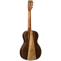 GUITARRA ACÚSTICA TANGLEWOOD TWJPE PARLOUR | MÚSICA BILBAO