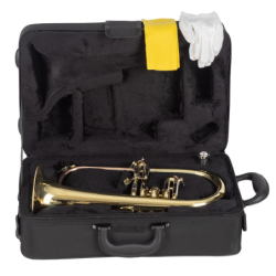 FLISCORNO J. MICHAEL EN SIB FG500 | MÚSICA BILBAO