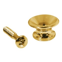 SUJETACORREAS V BOSTON 13mm DORADO 2 Uds. | Música Bilbao