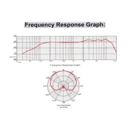 Micrófono dinámico Gatt Audio pro. 40hz-20khz | MÚSICA BILBAO