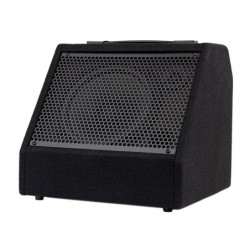 Monitor batería digital Hayman 30W bluetooth | MÚSICA BILBAO