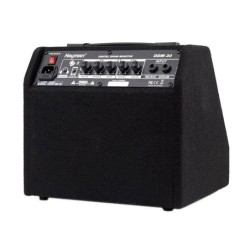 Monitor batería digital Hayman 30W bluetooth | MÚSICA BILBAO