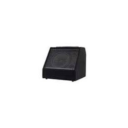 Monitor batería digital Hayman 30W bluetooth | MÚSICA BILBAO