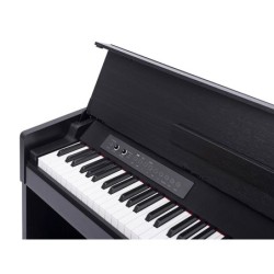 PIANO DE ESCENARIO MEDELI 88 TECLAS HAMMER CP203/BK | MÚSICA BILBAO