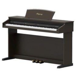 PIANO RINGWAY TG8852